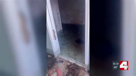 Thieves targeting tornado area add challenges to recovery nearly 6 months on