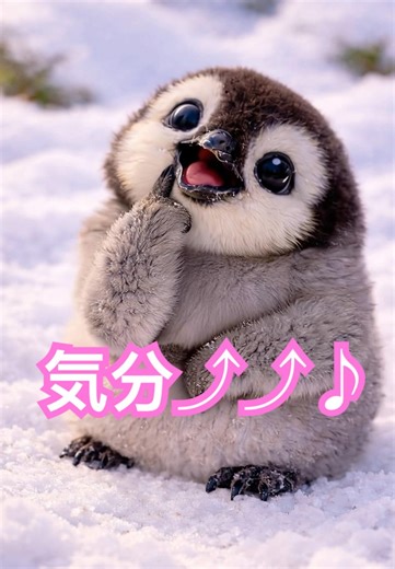 いいことあったのかな？^ ^ #penguin#cute#癒し#動物#ぺんたごん#PentaGon
