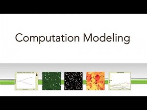 Coding a simple model on NetLogo Web