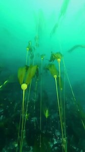 Random facts that will blow your mind #randomfacts #interesting #fact #facts #didyouknow #science #instafacts #dailyfacts #scientist #knowledge #factsdaily #allfacts #daily | Facts