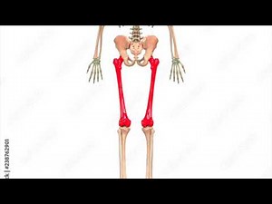 Name Those Bones (with Lyrics)