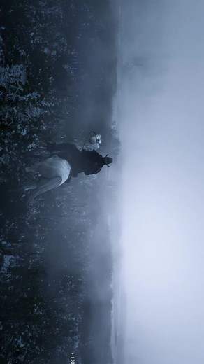 Red Dead 2 Snowy Follow for more #fyp #zana96 #reddeadredemption2