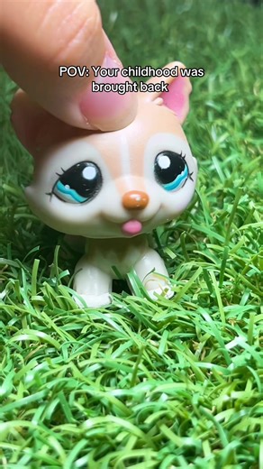 First time experiencing this💔#lps #lpstiktok #basicfun #lpscollection #lpscommunity #lpscollector #littlestpetshop #lpstok #emmyxlps #fyp