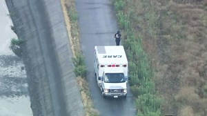 Woman, 2 dogs killed by lightning strike near Los Angeles