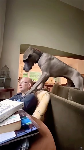 Unconditional Love: Moments with My Dog 🐾❤️