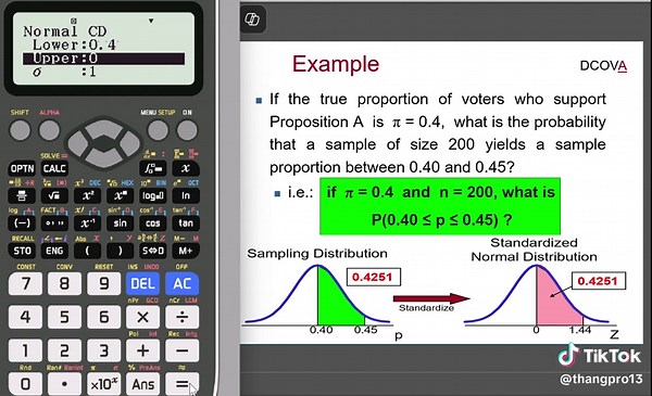 Calculate Probability of Sample Proportion in Statistics