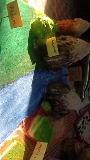 mountain project Plato project plane project