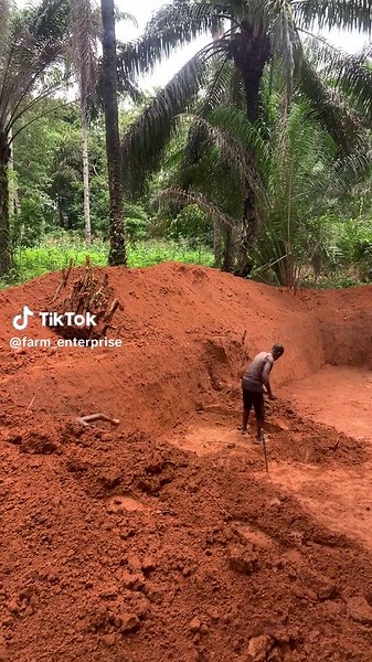 KenChu’s Farm Services on TikTok