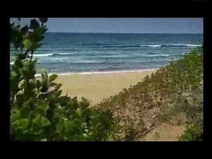 Ballito Bay - Ilembe District Municipality