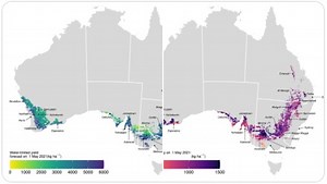 Graincast™: forecasting Australia's national grain crop yield - Digiscape Future Science Platform