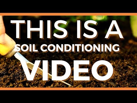 Soil Conditioners. What Are They and What Do They Do?