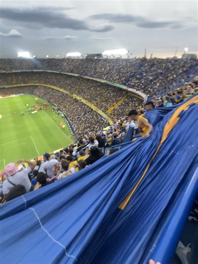 Celebrating Boca Juniors: A Passionate Fan's Call