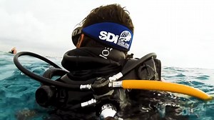 Unlock the door to the underwater world with the SDI Open Water Scuba Diver certification, your first step into scuba diving freedom. Learn online at your pace, develop skills in the pool, and experience the thrill of open-water dives, as you earn a passport to dive the globe. 👌🤿 Learn more here: https://aquaticadventuresohio.com/courses/open-water-diver Call into the shop with questions: 614-545-DIVE #underwaterlife #adventure #sdi #community #AquaticAdventuresOhio | Aquatic Adventures Ohio