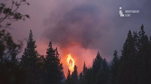 76K views · 778 reactions | WATCH: Are prisoners fighting the current Mariposa County fires in California? In this excerpt from The Prison in Twelve Landscapes, a female inmate recounts how her team encountered and fought blazes in Marin, CA. Prison life, where you least expect to find it. | Independent Lens | PBS | Facebook