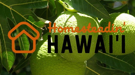 An Off-Grid Resource for You