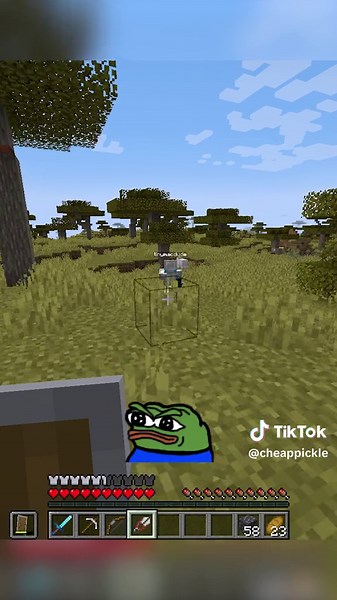 alt f4 is what tucker told me to press #minecraft #gaming #minecraftfunny #cheappickle @tinymacdude