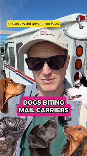 Can You Guess How Many Dog Bite Incidents the USPS Reported in 2024? 🐶