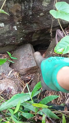 34K views · 135 reactions | Treasure hunting found target spot indication markings #JmDCompass #compasshunterph #fbreels #fypシ゚ #reels #virals #everyone #Amazing | Jm D Compass | Facebook