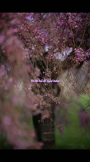 Aankhon me teri | Ajab si | bollywood songs lyrics | aesthetic lyrics 🎶💖 #shorts