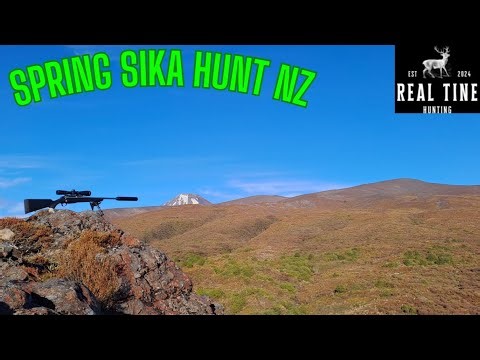 Overnight Spring Sika Hunting Public Land NZ 2025