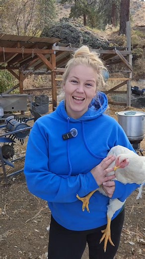 484K views · 10K reactions | Butchering Chickens at Home (Part 1) | Our Full Processing Setup Part 1 of our series — here’s how we prepare for butchering day on the homestead. Responsible, respectful, and farm-to-table focused. #homestead #fromfarmtotable #chickenprocessing #homesteading #butchering | Mountain Spring Homestead | Facebook
