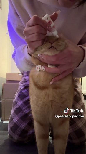 Mastering Eye Drops: Why He Does It Better