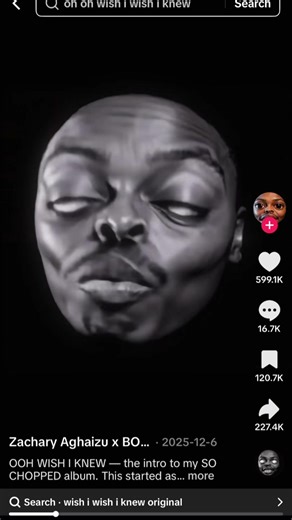 Wish I Knew - A Fun Meme Reflection