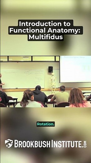 Introduction to Functional Anatomy: Multifidus