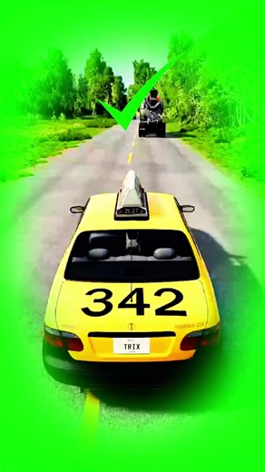 Family Mountain road driving style😂 #beamngdrive