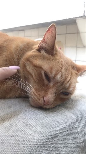 Videos de Eclipse de Mar (@eclipsedemarr) con “original sound - FeeandTilly”