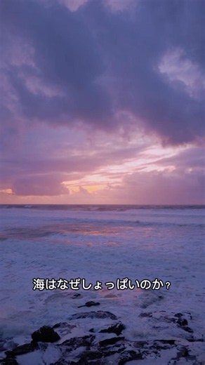 海がしょっぱい理由知ってる？#雑学 #海 #豆知識 #海の雑学 #魚#shorts