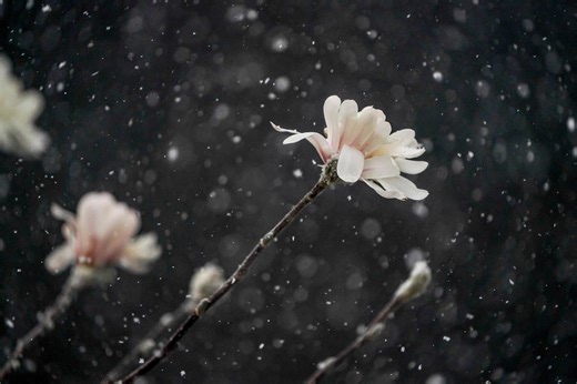 Spring is officially here! What it means for Indiana in 2026