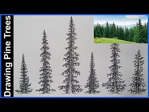 How to Draw Pine Trees in Ink Pen