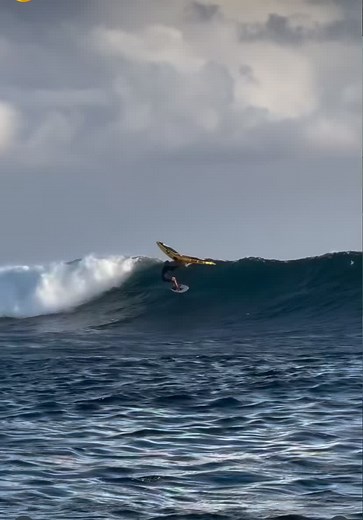 Getting air time 🦅 #iqfoilyouth #iqfoilclass #iqfoildaily #pwaworldtour #pwa #drone #crazy #windsurfing #gopro # #windsurf #windsurfing #massive #loyaltothefoil #noway #perfect #viral #shorts #comedy #trending #reels #windsurfworldcup #windsurfer #windsurfworldcupsylt #wind #speed #fullsend #windsurfingfreestyle #windfoilboard #wingfoilworldtour Credit @hugo.marin___