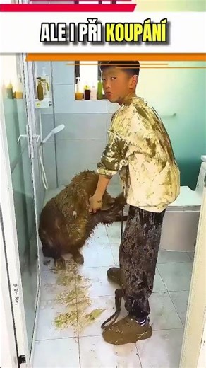 Největší bahenní dobrodružství psa!