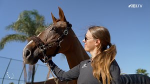 2.8K views · 81 reactions | "Dorette is a very special horse. She has...