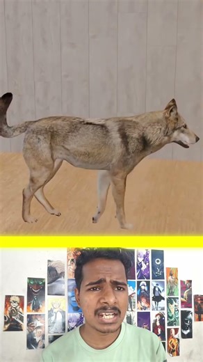 dog experiment 🐶 #facts #experiment #shorts