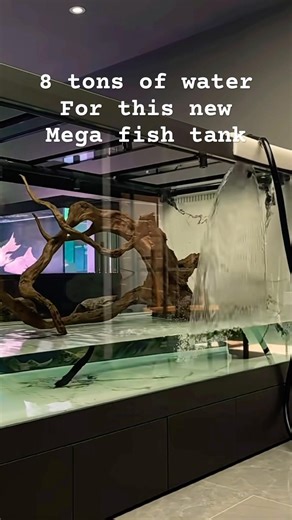Filling 8 tons of water into this mega Arowana tank #arowana #arowanafish #megaquarium #fishtank