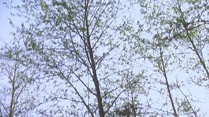 Eureka - 4x04 - The Story of O2