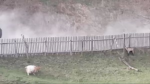 28K views · 175 reactions | Cum arată și ce a rămas în urma dezvoltării drumului "Transalpina de Apuseni', între Aiud și Abrud. Comuna Poieni, Bucium Sasa. Consiliul Județean Alba | Carolina TV | Facebook