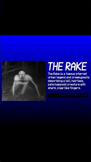 THE RAKE