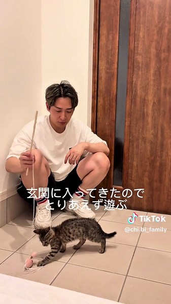 保護した3ヶ月の子猫ちゃんとの新しい生活