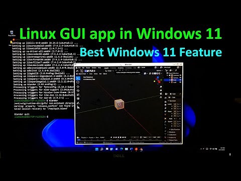 How to Run Linux Application in Windows 11