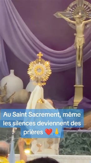 Il y a des moments où seul le Saint Sacrement peut calmer le cœur 🙏🤍 Que Jésus visite chaque personne qui tombera sur cette vidéo ✨ Commente “Amen” si tu crois en Sa présence réelle ❤️ #religion #catolicos #dieu #foi #✝️
