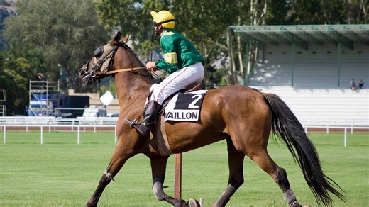 Pronostics  Gratuits R4C8 Prix Orion