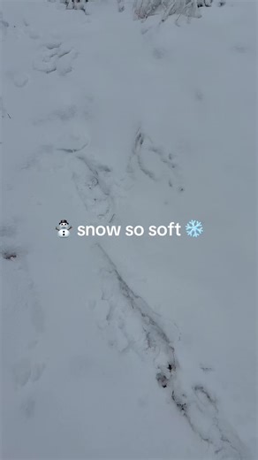denise_0.0 (@denise_0.0)’s videos with Let It Snow! Let It Snow! Let It Snow! - Dean Martin