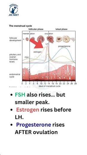 That ONE sharp spike decides ovulation