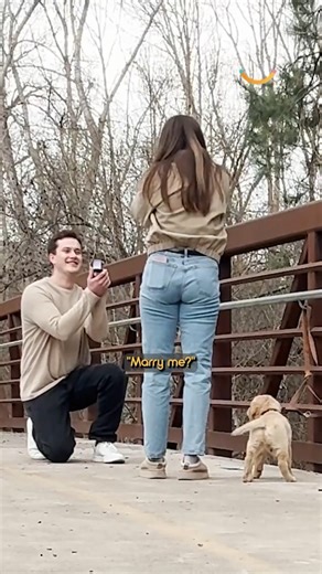 PUPPY WINGMAN! 🐶❤️ #puppylove #goldenretriever #proposal