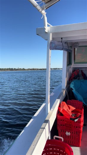 Different boat for the day #cajunbabyfishing#crabbing #lifeisgood #florida #seafood