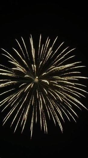 Beautiful 5” shell display